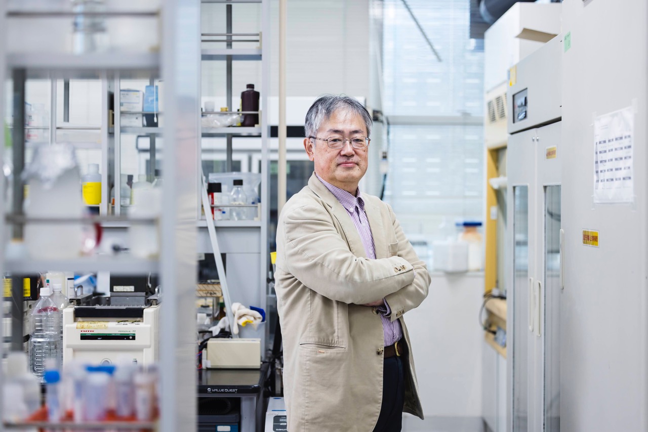ネットワーク長 新領域創成科学研究科 教授 運営体制|Dean of Life Science Network. Ph.D., ProfessorDean of Graduate of Frontier Science. Ito Koichi