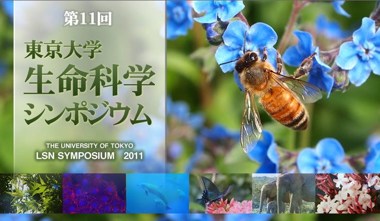第11回東京大学生命科学シンポジウム　ホームページ公開中